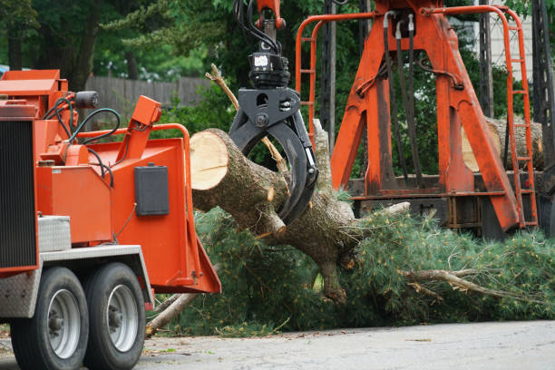 Best Firewood Processing and Delivery  in Metropolis, IL